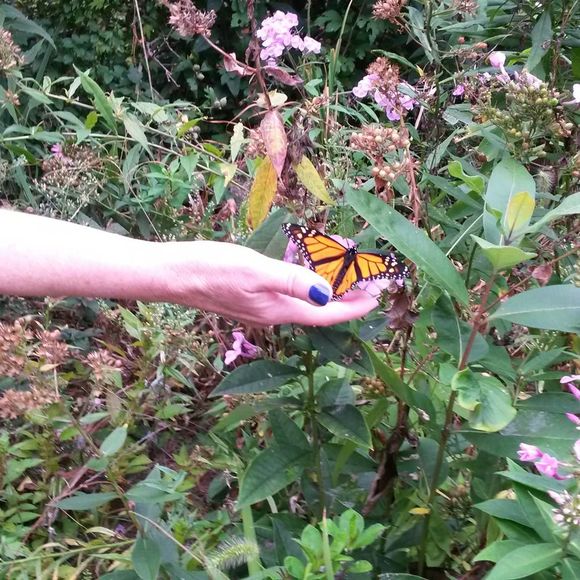 Meet your Posher, Marcy - Picture 1 of 1